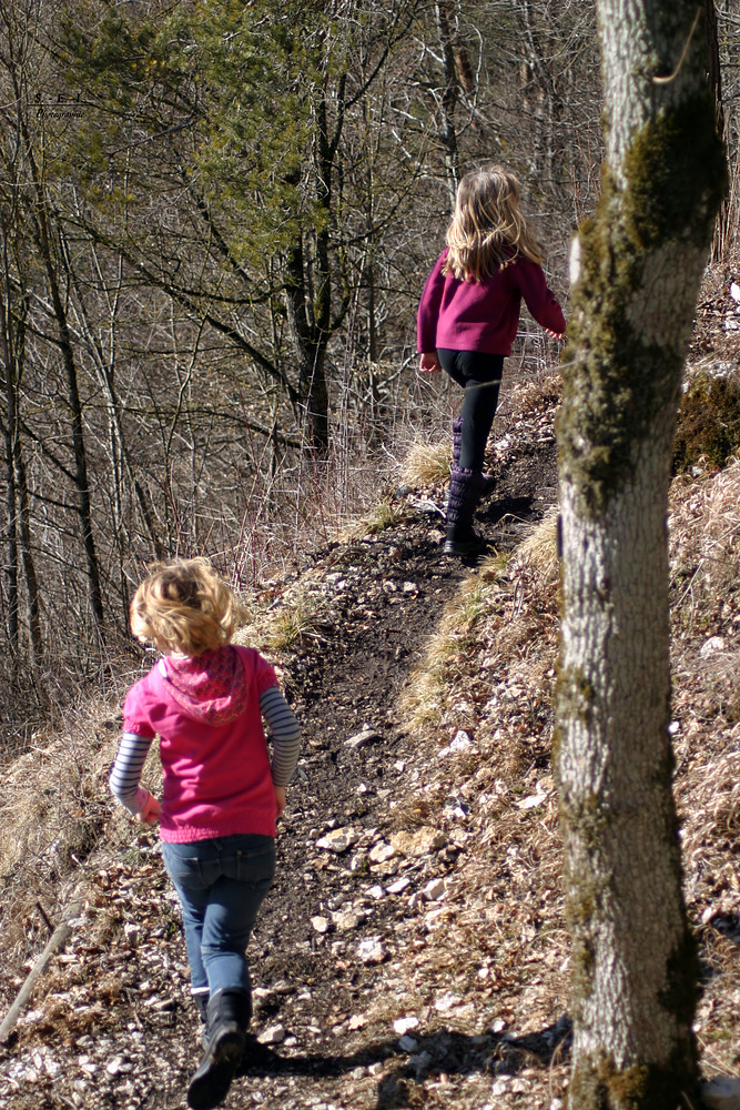 "Auf zum Burghügel"