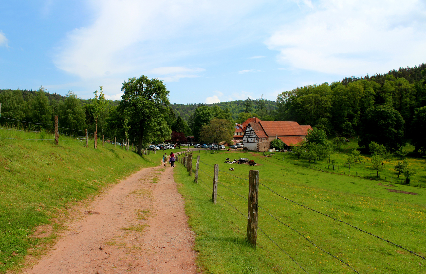 Auf zum Gimbelhof