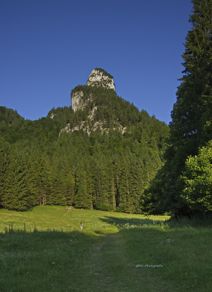 Auf zum Kofel