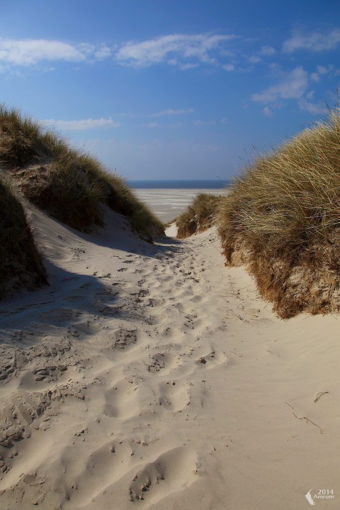 Auf zum Meer