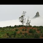 auf zum Roque Taborno, der aus dem Passatnebel herausragt