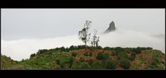 auf zum Roque Taborno, der aus dem Passatnebel herausragt