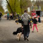 Auf zum Skatepark  