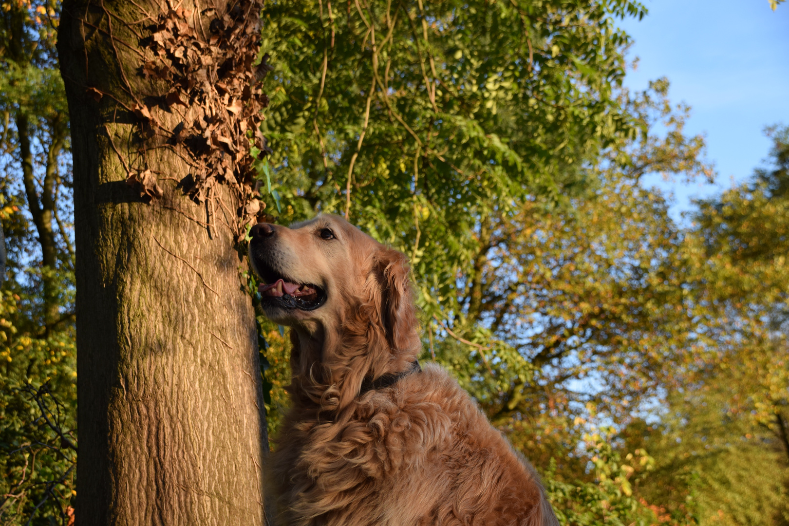 Auf zum sonnigen Herbstspaziergang.