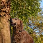 Auf zum sonnigen Herbstspaziergang.