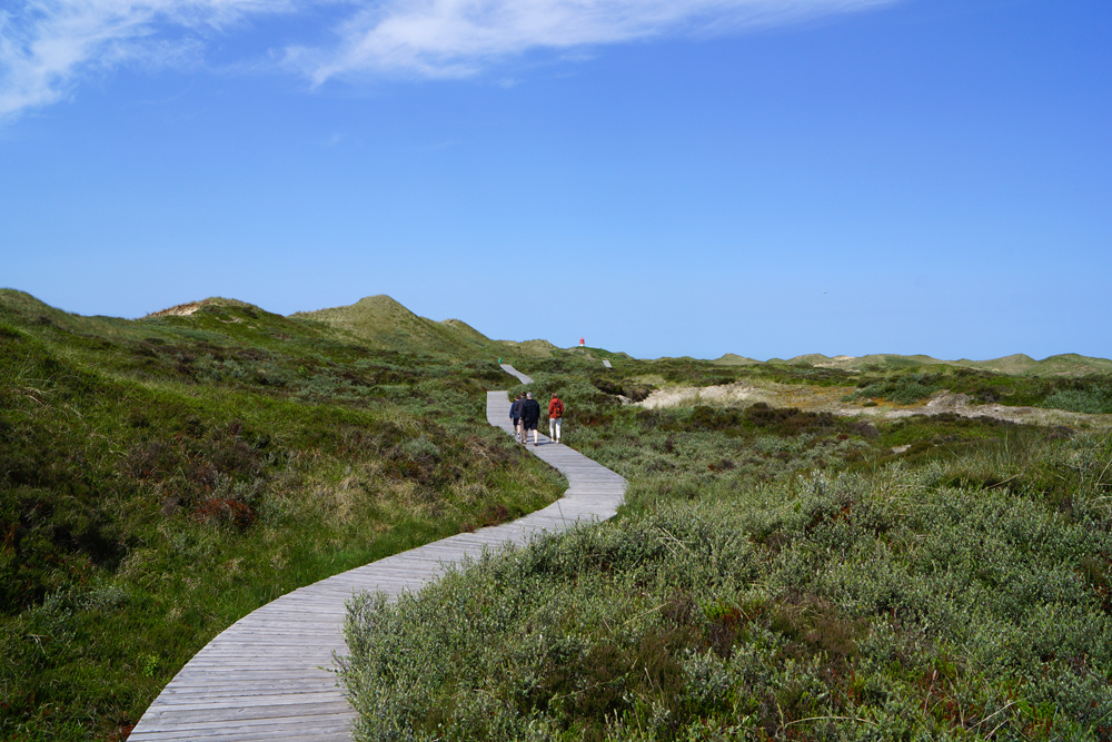 Auf zum Strand 04