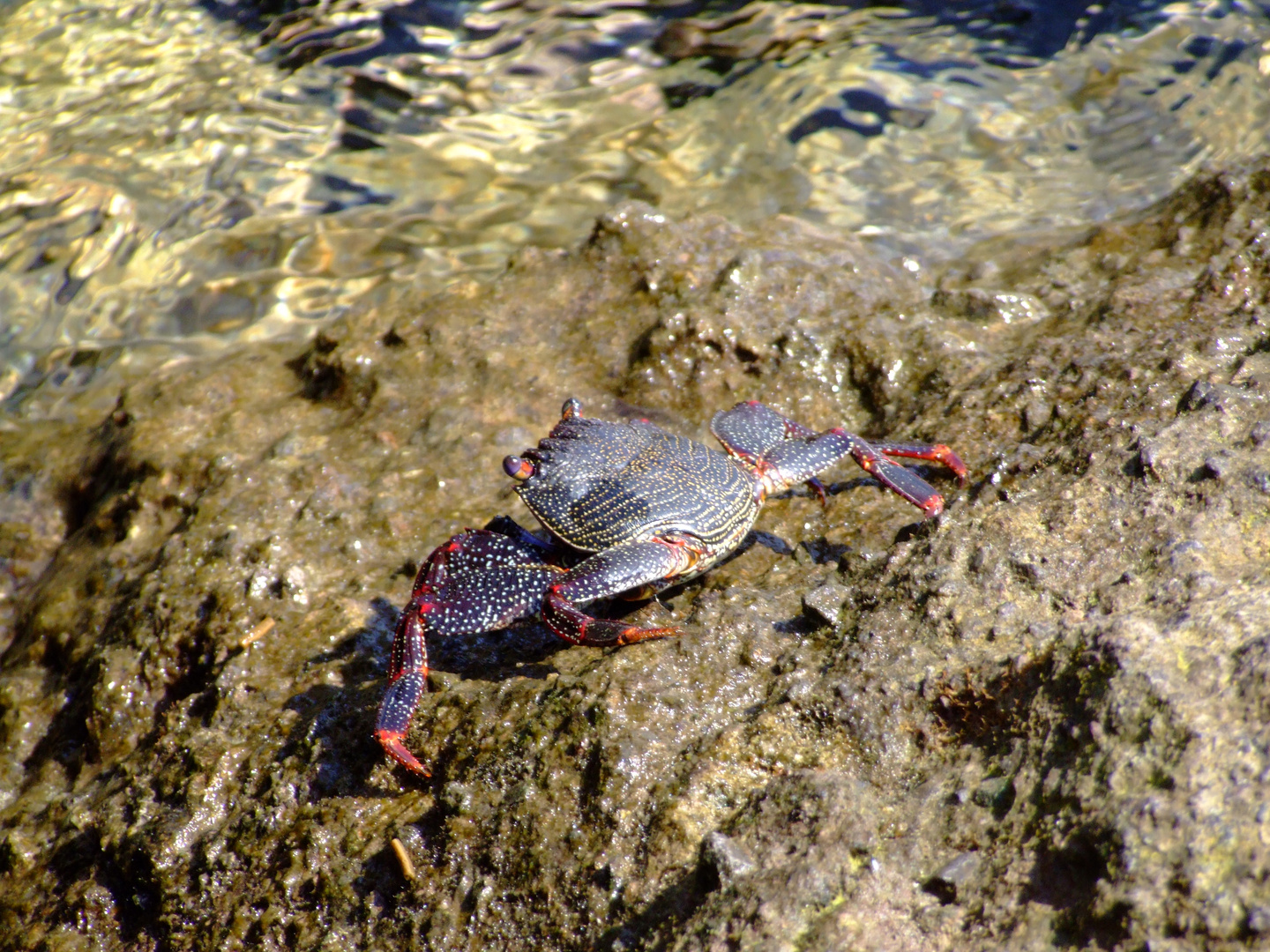 Auf zum Wasser