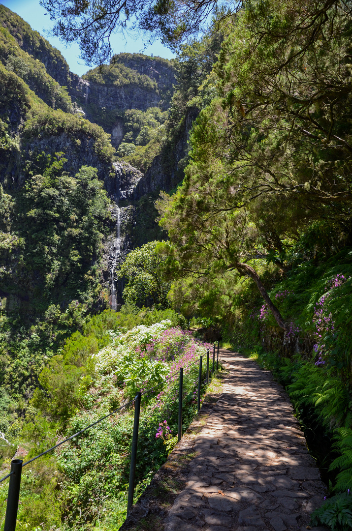 Auf Zum Wasserfall