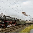 Auf zum Weihnachstmarkt nach Marburg