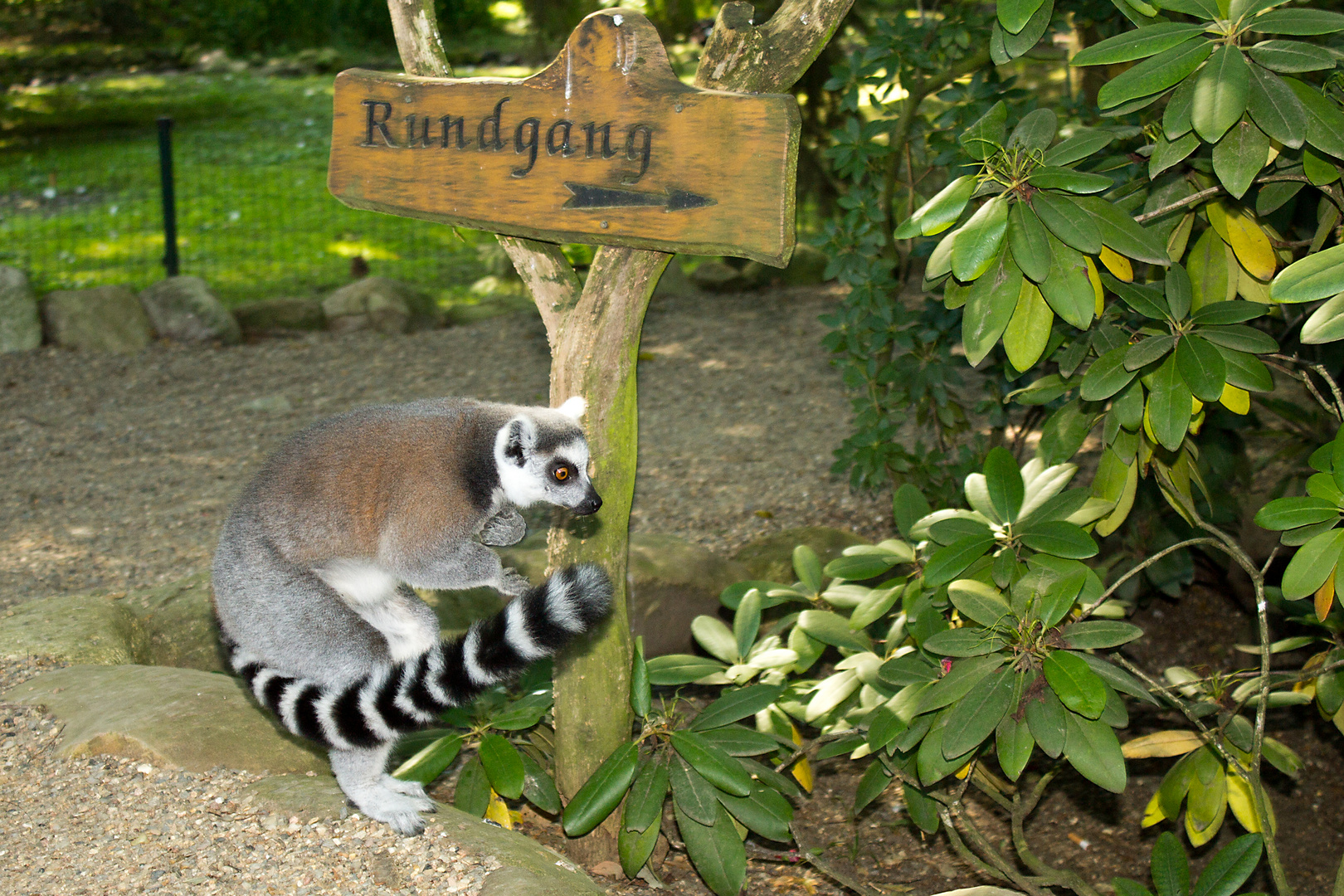 Auf zum Zoobesuch.