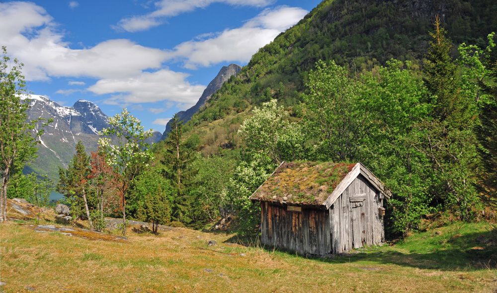 Auf zur alten Hütte