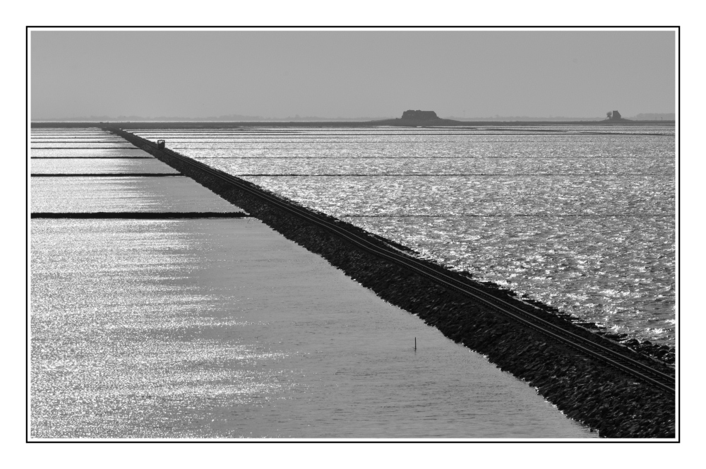 Auf zur Hallig