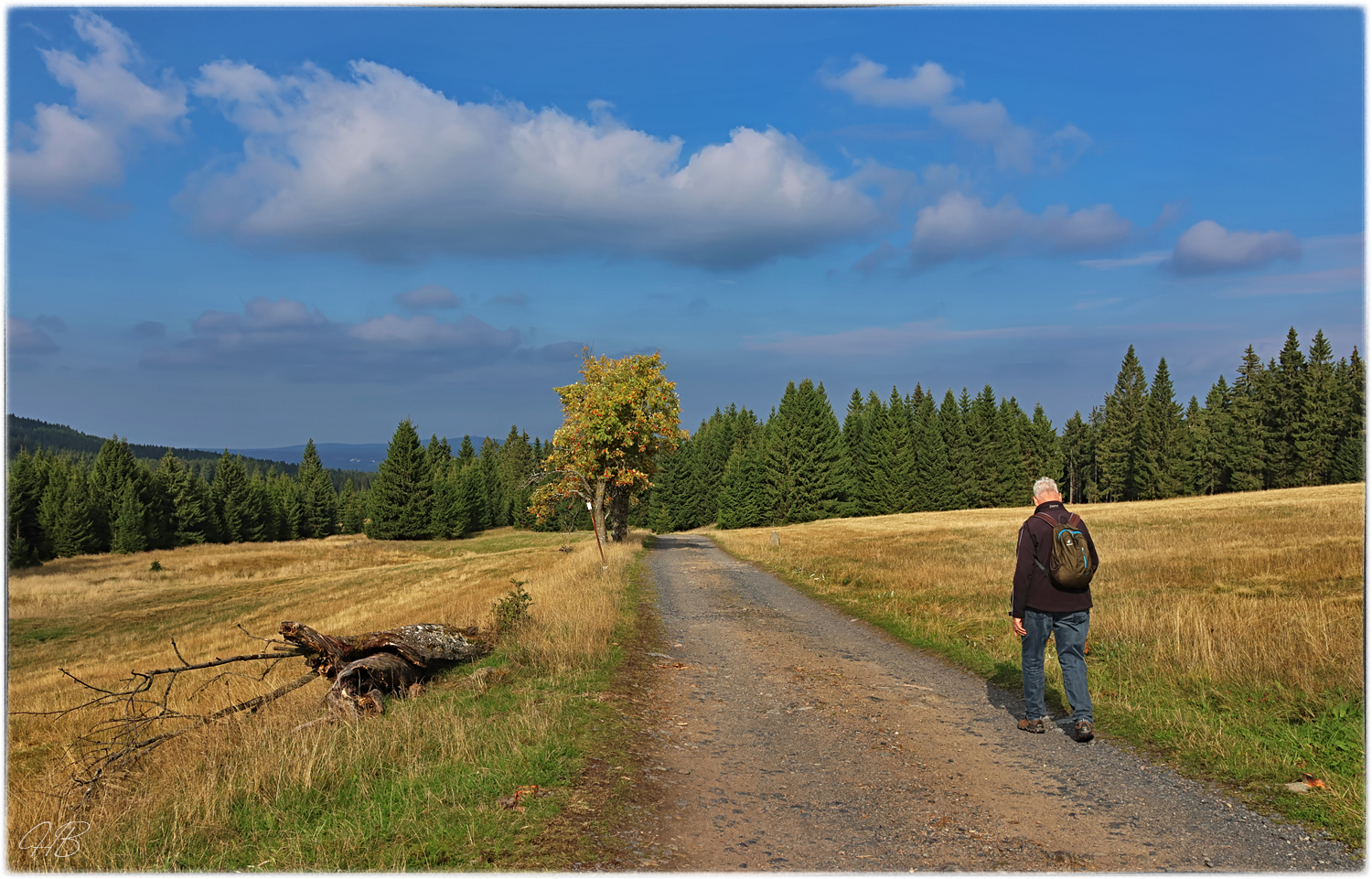 Auf zur Herbstwanderung .....