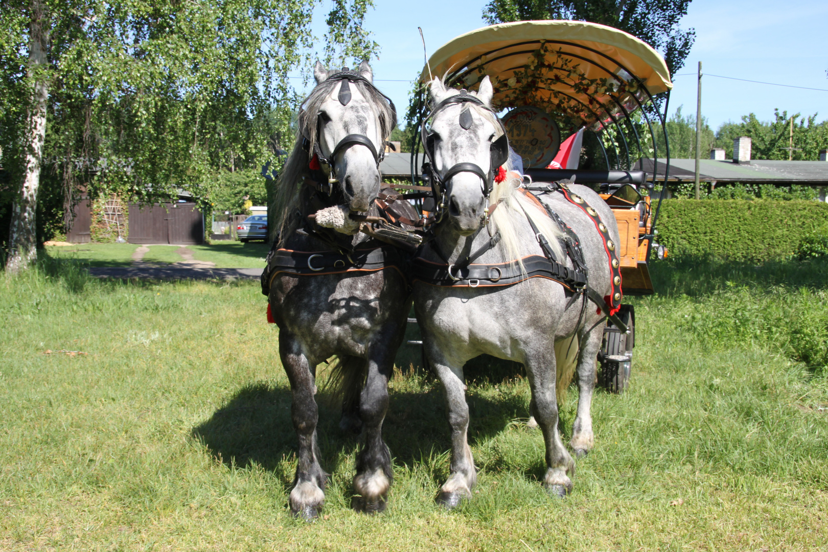 Auf zur Himmelfahrtstour 2011