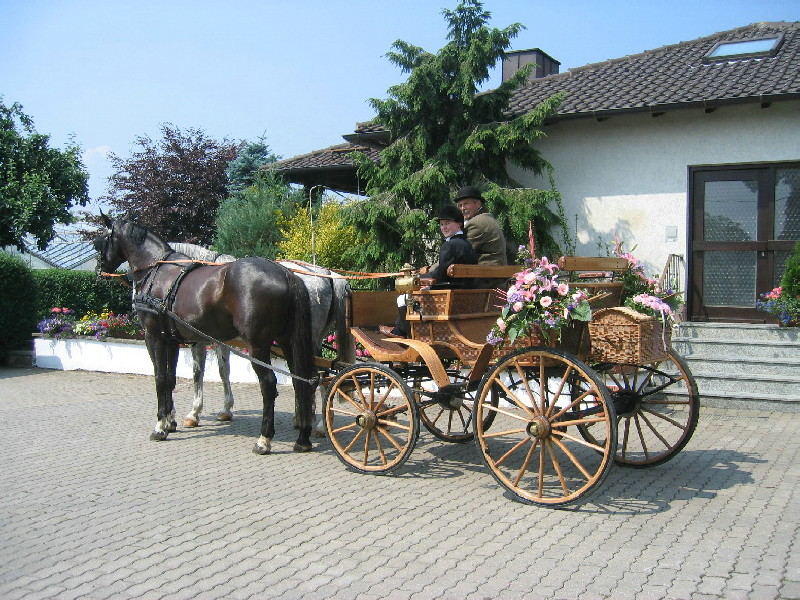 Auf zur Hochzeit