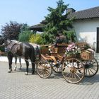 Auf zur Hochzeit