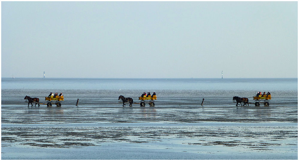 Auf zur Insel