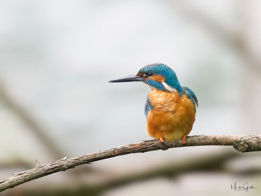 Auf zur nächsten Runde!