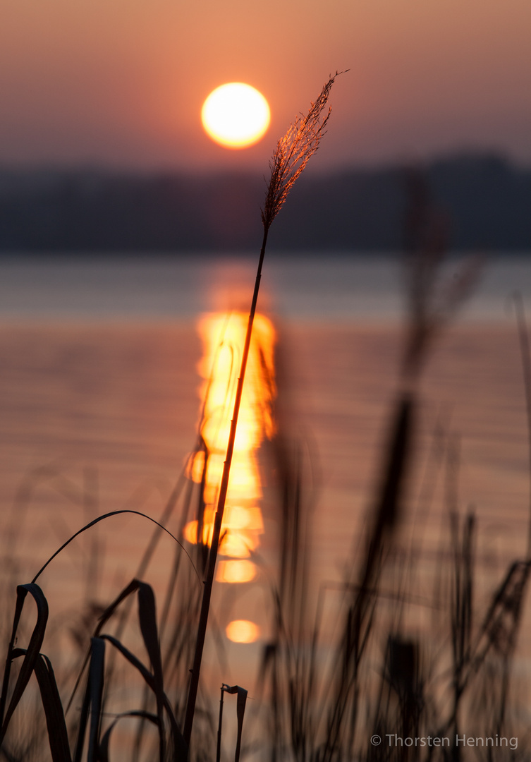 auf zur Sonne