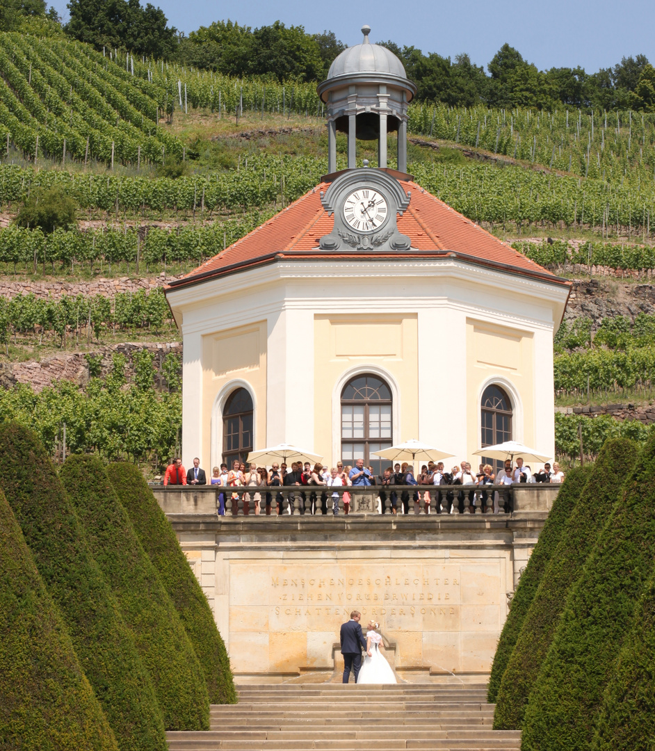 ... auf zur T R A U U N G ins LUSTSCHLOSS BELVEDERE