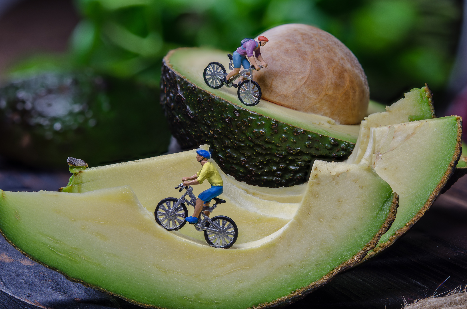 Auf zur Tour d'Avocado