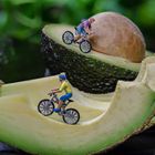 Auf zur Tour d'Avocado