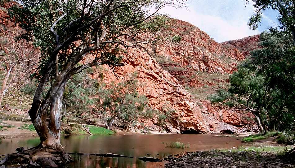 .. auf zur Wanderung in die Ormiston Gorge