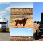 auf/am Barkly Highway