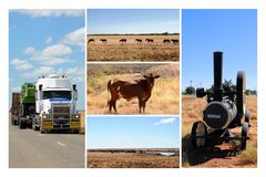 auf/am Barkly Highway