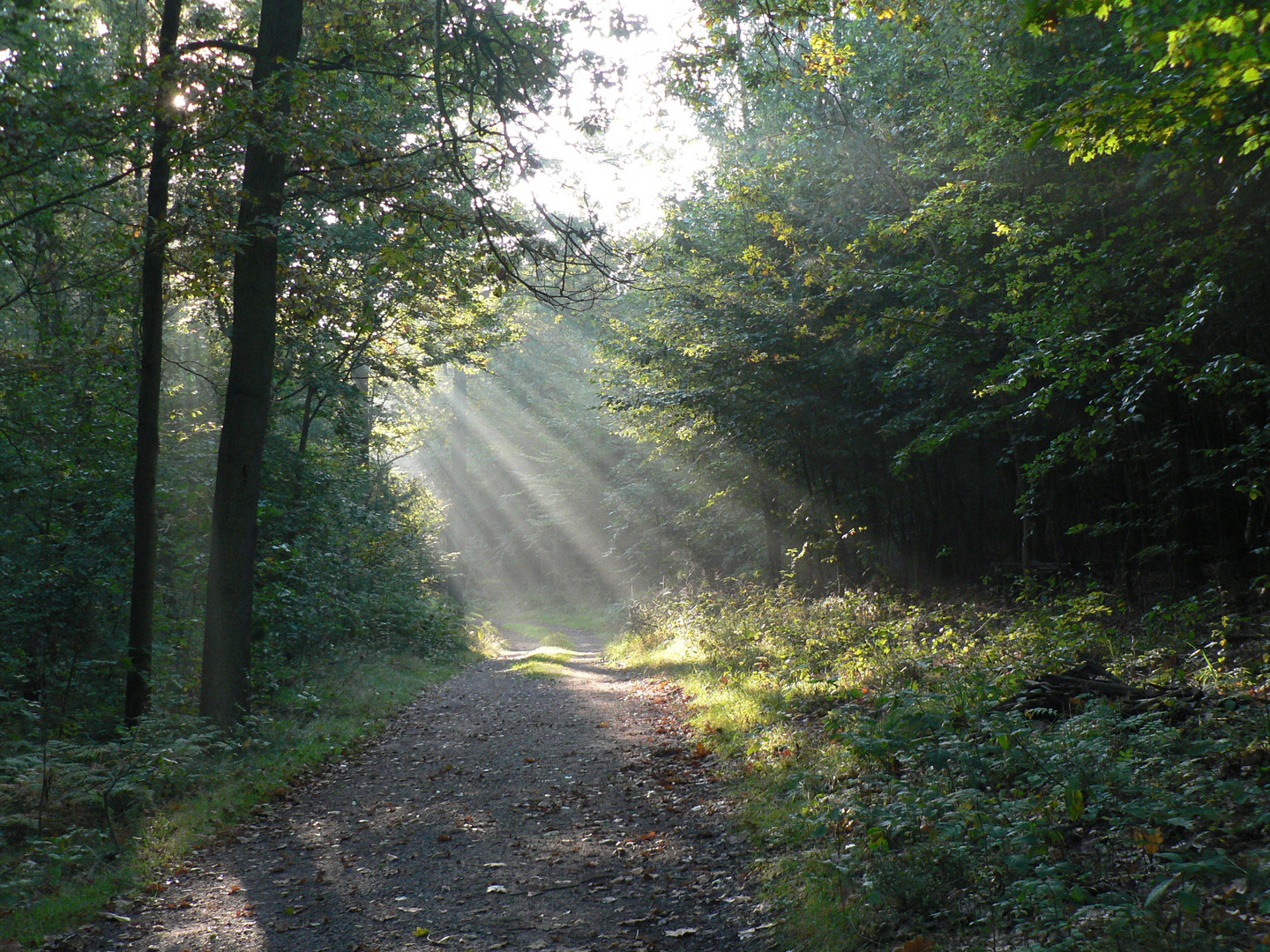 Aufbruch am Morgen