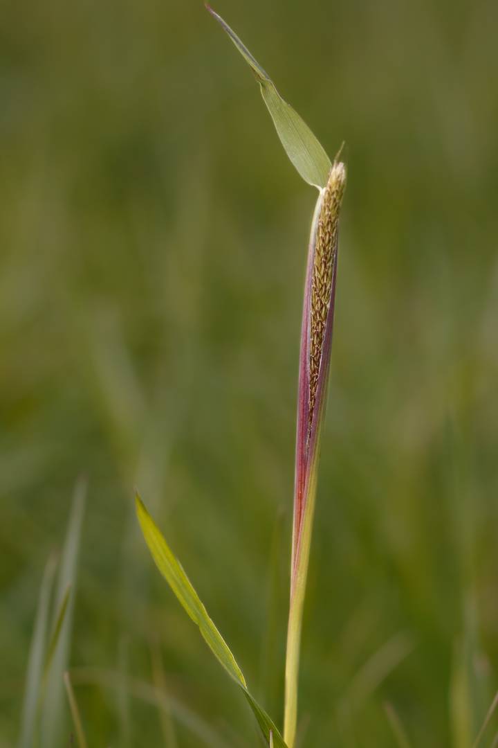 Aufbruch im Frühling