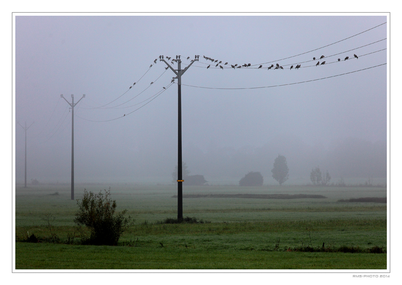 Aufbruch im Nebel