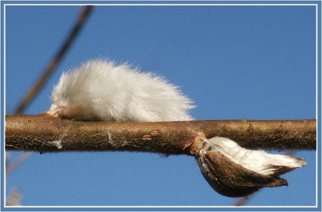 Aufbruch in den Frühling