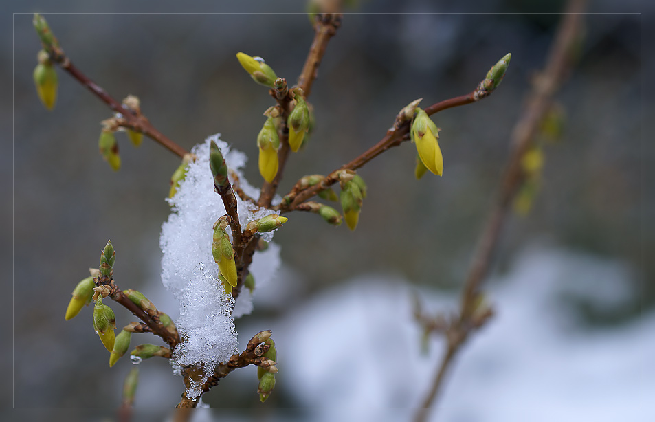 Aufbruch in den Frühling