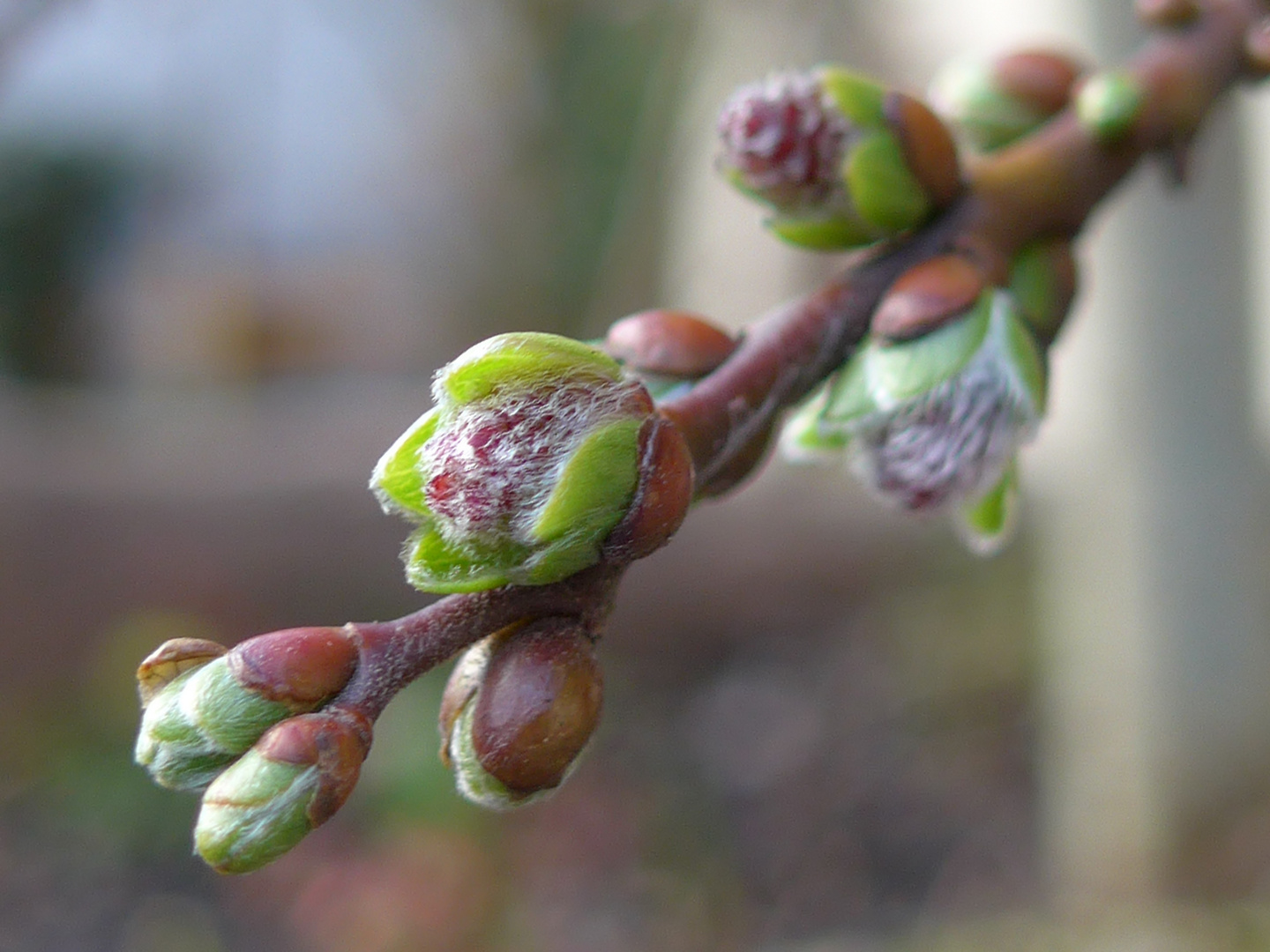 Aufbruch in den Frühling