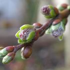 Aufbruch in den Frühling