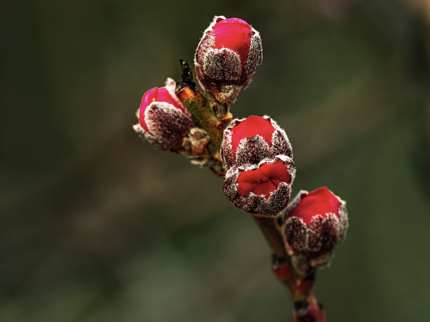 Aufbruch in den Frühling 