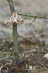 Aufbruch in den Frühling