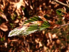 Aufbruch in den Frühling