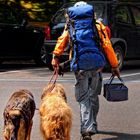 Aufbruch in den Großstadtdschungel