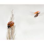 Aufbruch und Abflug