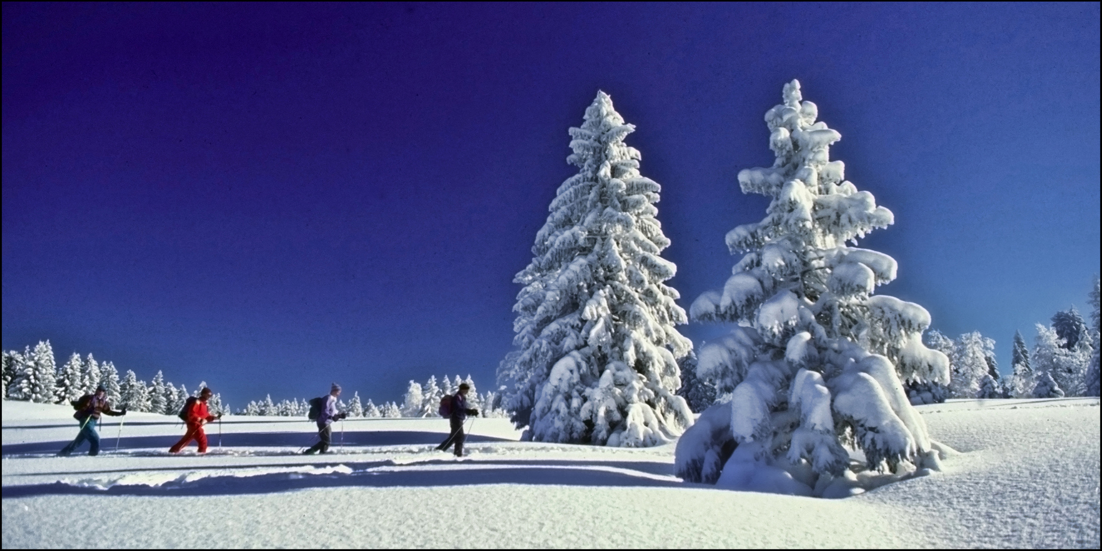 Aufbruch zur Skitour