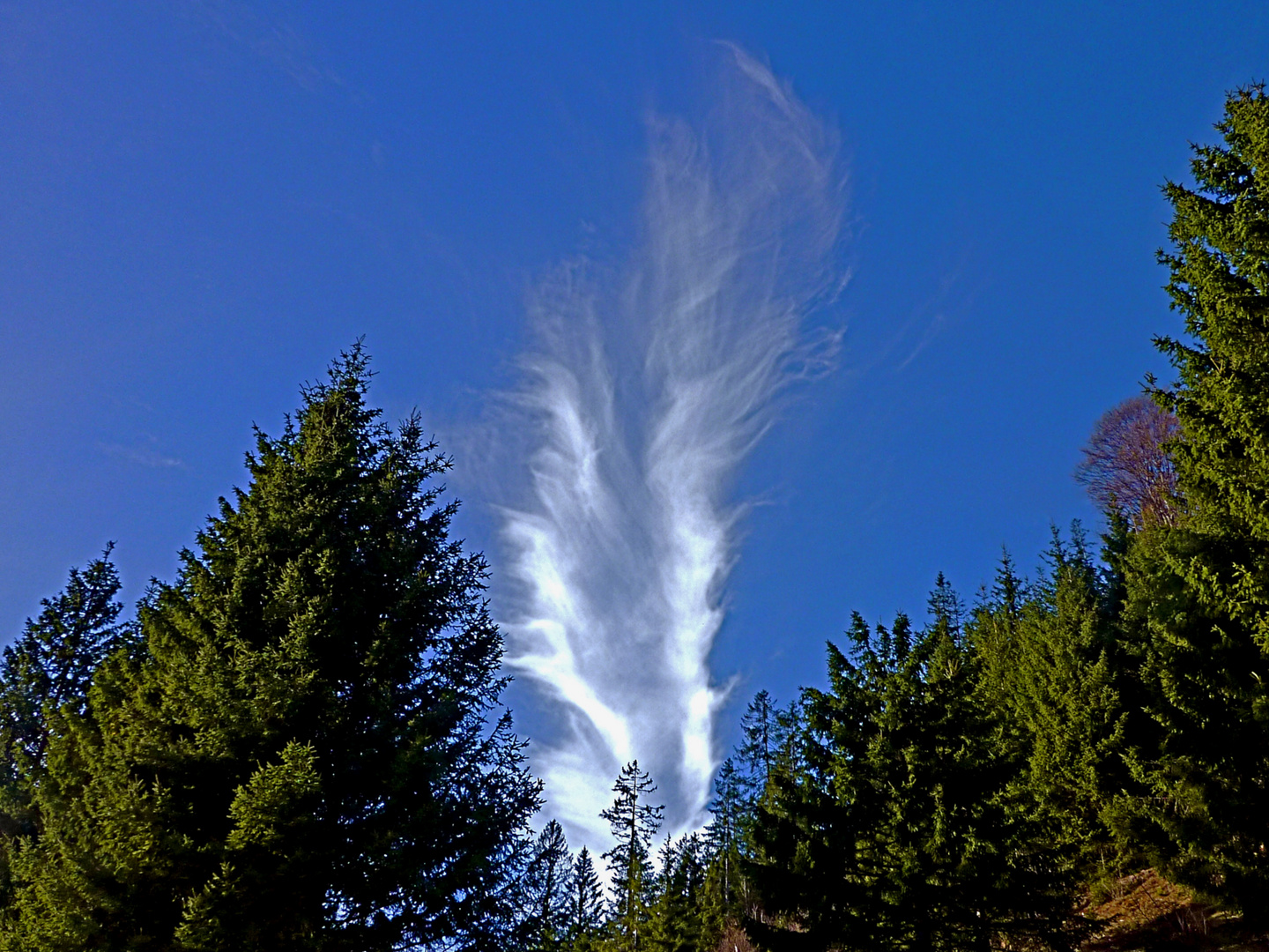 Auffahrt: Der Blick zum Himmel  ...