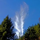 Auffahrt: Der Blick zum Himmel ...