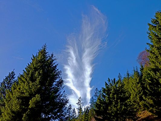 Auffahrt: Der Blick zum Himmel  ...