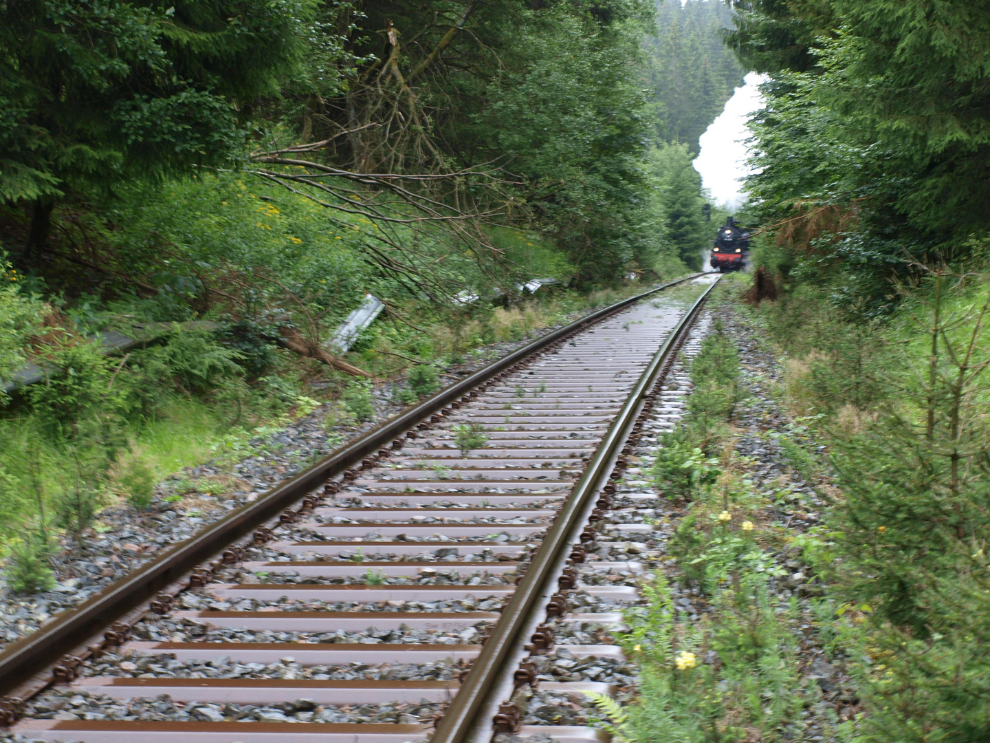 Auffahrt zum Bahnhof Rennsteig