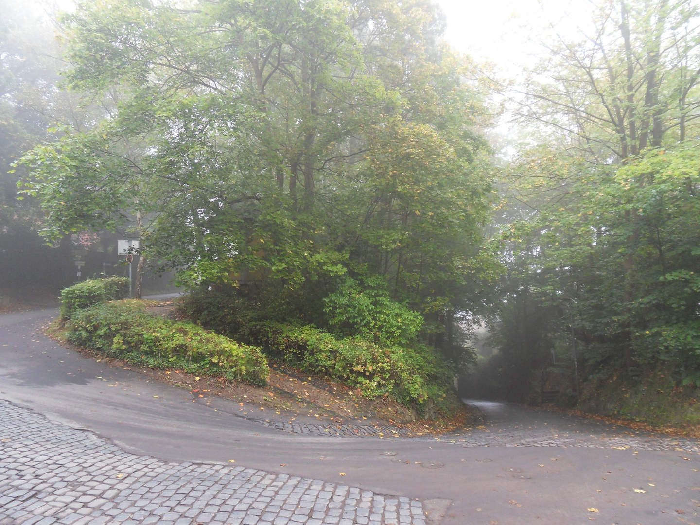 Auffahrt zur Burg