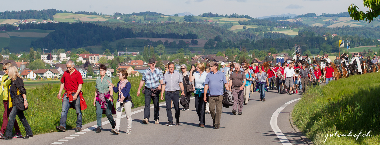 Auffahrtsumritt 2015 in Ettiswil (2)