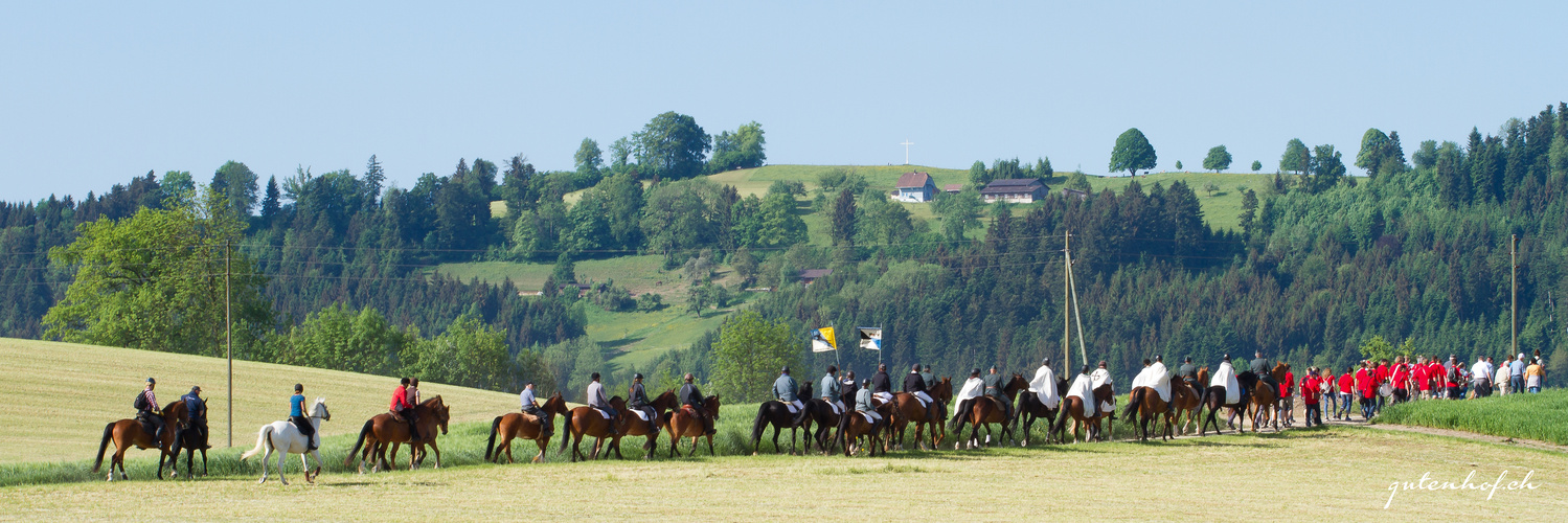 Auffahrtsumritt 2015 in Ettiswil (4)