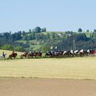 Auffahrtsumritt 2015 in Ettiswil